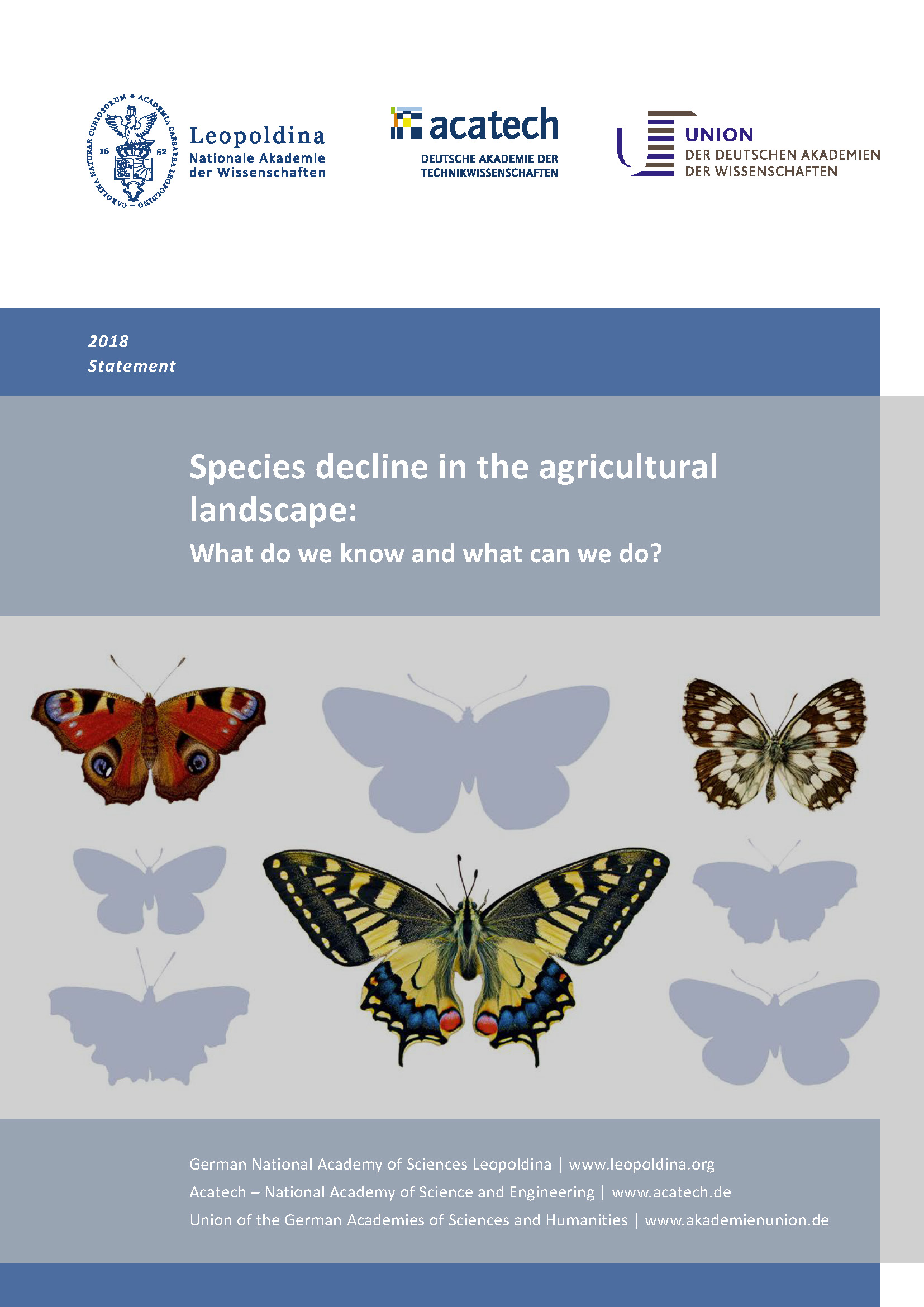 Cover of the publication "Species decline in the agricultural landscape - What do we know and what can we do?"