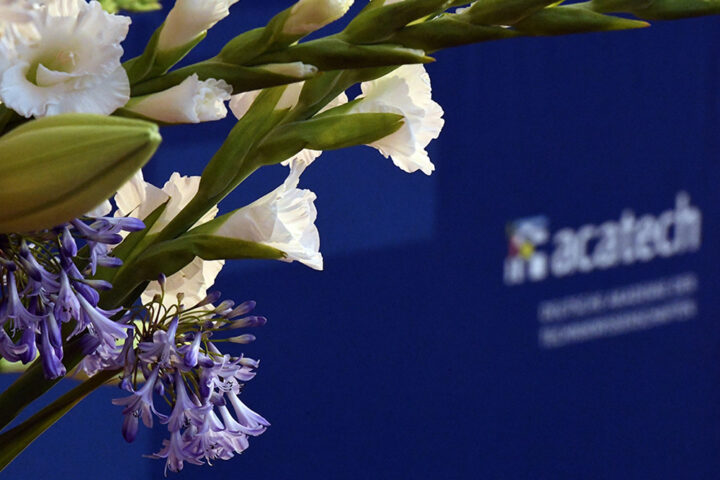 Flowers in front of a backgroud with acatech branding